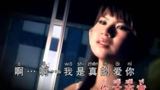Download lagu Wo Zhen De Zhen De Ai Ni- 我真的真的爱你 mp3