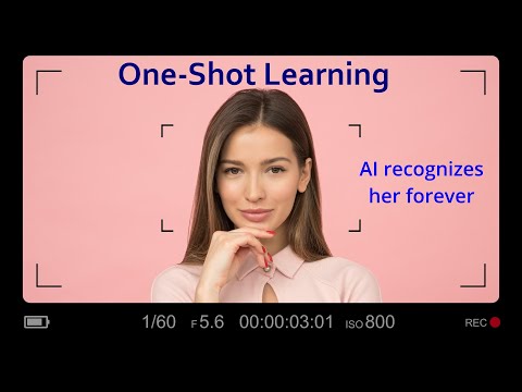 How AI Generalizes From Just One Example: One-Shot Learning