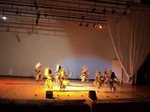 HEI TIARE 2013 "TE FARE ORI NO OTAHI"