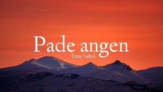 Download lagu Pade Angen | Tony Bahol | Cover lirik lagu sasak mp3