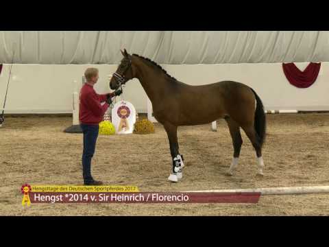 KN 41 v. Sir Heinrich - Florencio