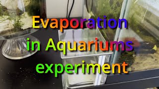 Evaporation in Aquariums experiment