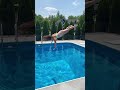 Super High Swan Dive off Diving Board #shorts
