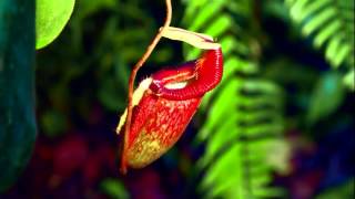 A SMOOTH JAZZ MIX 2013 - PART TWO