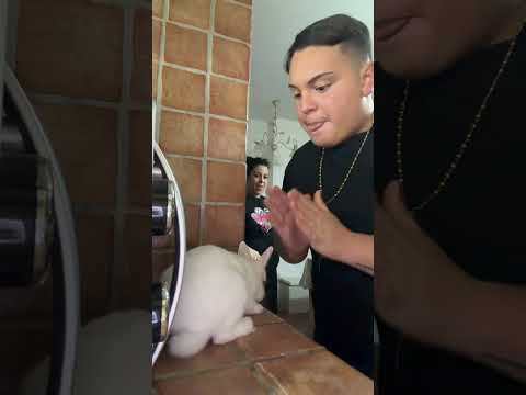 HA FATTO IL CATTIVO CON ME