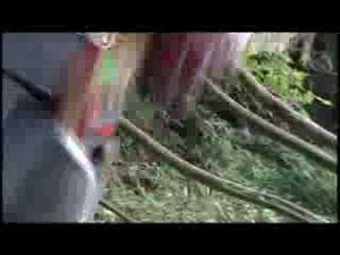 Tribute to Makoto Ito