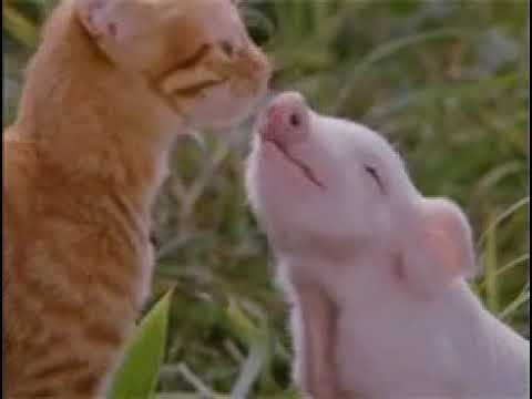 karthik saikumar djsomgs