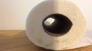 Bare Jr - Miss you the most