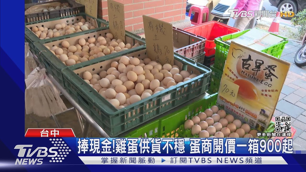 捧現金!雞蛋供貨不穩 蛋商開價一箱900起