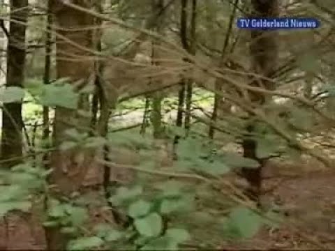 GLD Nieuws 28 augustus 2007 - Nieuws