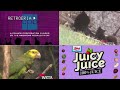 PBS KIDS Program Break 10 WETA TV 2003