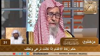 صورة حكم زكاة الأغنام إذا كانت ترعى وتعلف - الشيخ صالح بن فوزان الفوزان