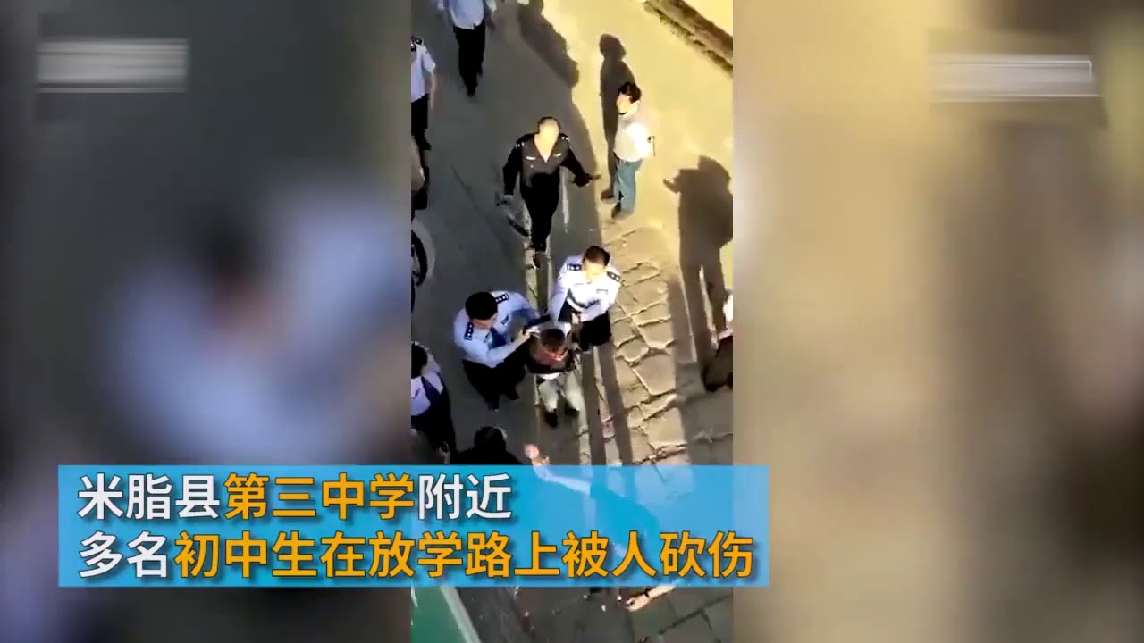 凶手擋在放學必經之路上　7學生被隨機砍死