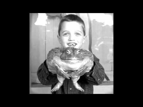 MiV ft Nontablist - Calisto Surreal Fat Toad.