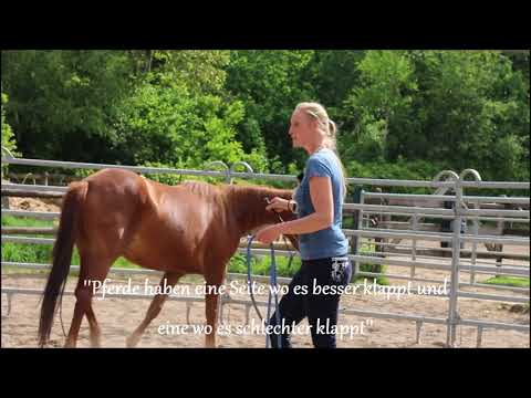 MUSTANG MAKEOVER 2018 Team Maya (TAG 3881) - Update 4