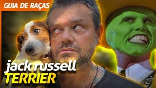 Miniatura do vídeo