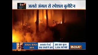 Special Report: Forest fire incidents create panic in Uttarakhand