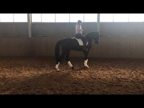 Friedrich v. First Selection 1