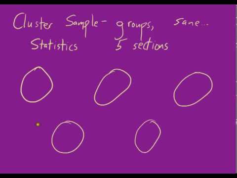 شرح درس Collecting , Displaying and Representing Data - Math