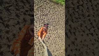 Download lagu konnichiwa sayonara kochi kochi ,😁😁 #trend #konnichiwa #sayonara #kochi #tiktok #ytshorts mp3 Download lagu konnichiwa sayonara kochi kochi ,😁😁 #trend #konnichiwa #sayonara #kochi #tiktok #ytshorts mp3