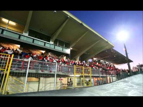 Serie B, Carpi - Modena 2-2 17 aprile 2014