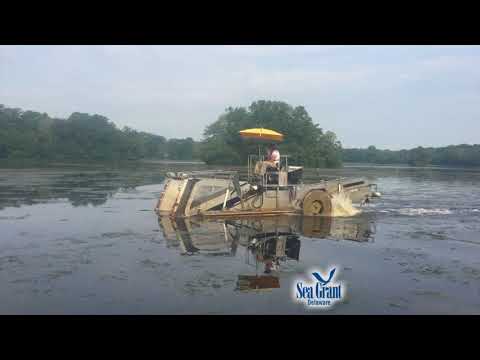 15 Second Science - DNREC macroalgae harvesting