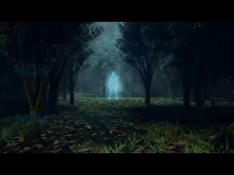 Žanil Tataj - Žak / Hologram