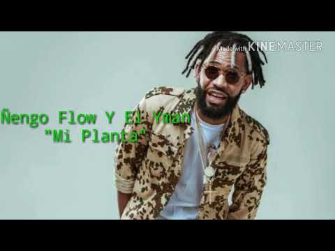 Ñengo flow y El Yman "Mi planta" ( Letra )