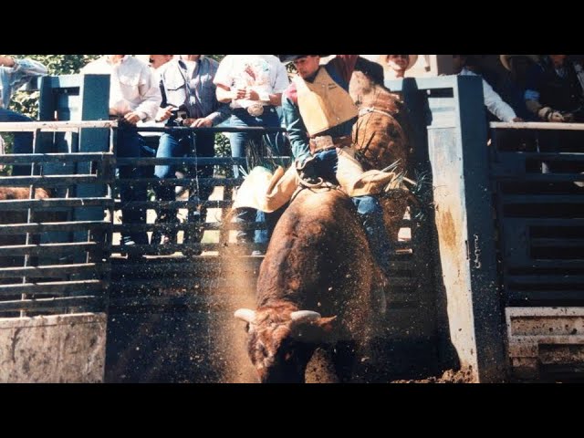 Henry Batteate — Hayward PRCA Rodeo 1996 First Place