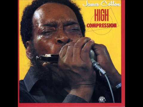James Cotton Band "Ain't Doin Too Bad"