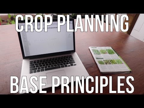 The Art of Crop Planning: Learn These Principles To Maximize Your Harvests