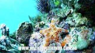 Holiday Accommodation South Coast New South Wales NSW