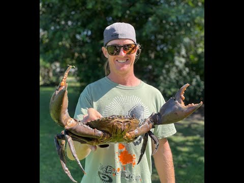GIANT MUD CRAB catch & cook....Singapore Chilli Mud Crab!!!