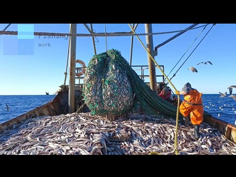 Amazing Net Fishing Under Ice Catch Hundreds Tons of Big Fish || Catching Fish Big on The Sea