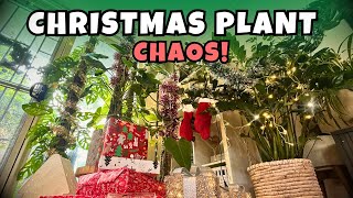 The REAL Reason Plants Crash After Christmas