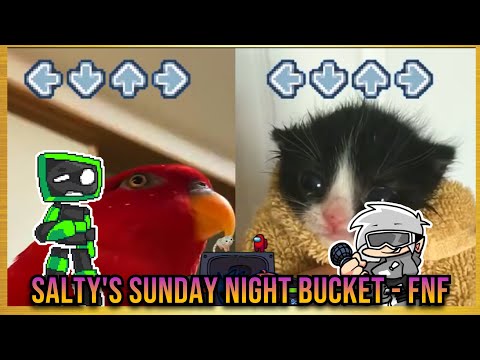 Salty's Sunday Night BUT TOWEL CAT VS RED BIRB GUMI- Friday Night Funkin' Animation -  Bucket