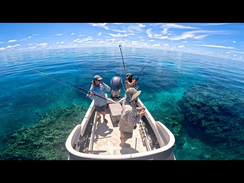 Great Barrier Reef Fishing in 1 metre of water. Ep 3