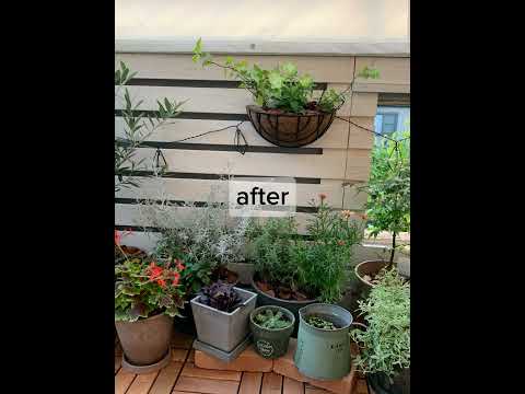 植物を使った 28 のバルコニー装飾アイデアで外装を飾りましょう  庭園