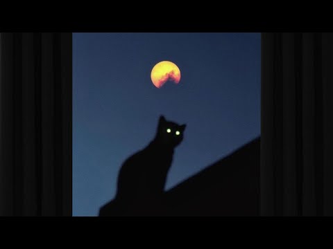 Free (TYPE BEAT) Travis Scott x Kid Cudi x Saint JHN - "PRESENCE" 2023