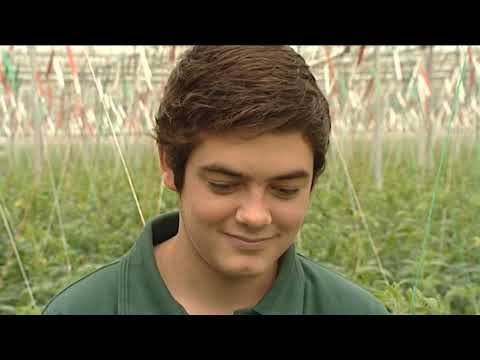 Just the Job Series 7 Episode 3