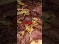 PIZZA Calabresa Pizzalover