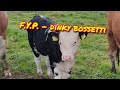 F.Y.P. - dinky bossetti