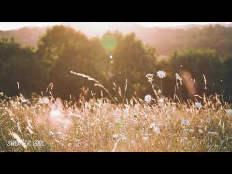 mystery of love by Sufjan Stevens, but you're thinking about last summer's romance