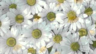 JULIE LONDON-------Little White Lies