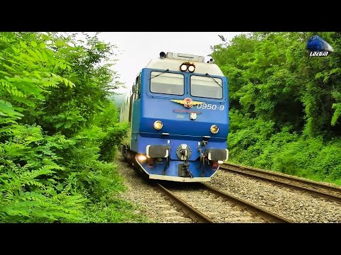 Concert de Goarne/Horns Concert By Isabella - Jimmy 65-0950-9 in Apuseni Mountains - 18 June 2015