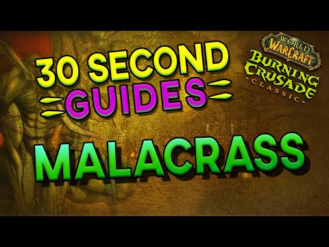 Hex Lord Malacrass - Zul'Aman - 30 Second Guides