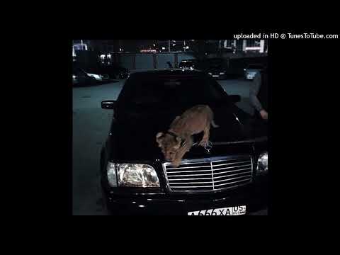 [FREE] raresy x cgoon type beat - "pounds" (@prod.yamaa + @prod.jamaine)