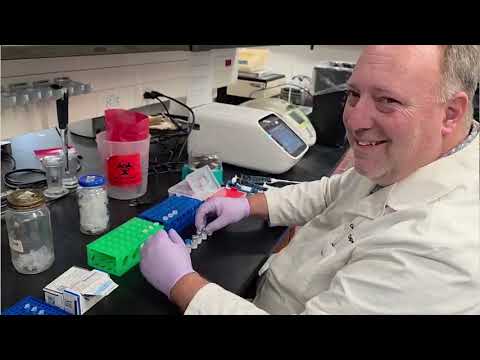 Massive DNA contamination