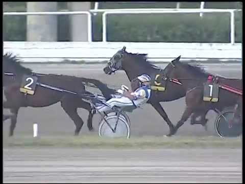 Trotto 19/10/2014 - 8° corsa