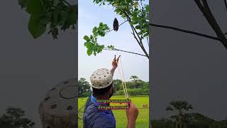 Download lagu MENEMBAK BERBURU BURUNG LANGKA || KETAPEL TRADISIONAL mp3